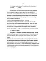 Referāts 'Tūrisma attīstības iespējas Jēkabpils rajonā', 34.