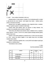 Prakses atskaite 'Biroja darba prakses atskaite', 18.