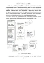 Prakses atskaite 'Biroja darba prakses atskaite', 20.