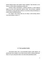 Referāts 'Budžeta un nodokļu sistēma', 15.