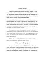 Referāts 'Norvēģija', 13.