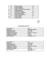 Konspekts 'Bērnunamu bērnu vasaras nometne "Arī es!"', 7.