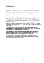 Referāts 'Ar ko atšķiras tomātu mērce no kečupa?', 12.