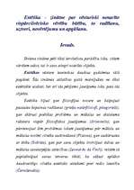 Referāts 'Estētika', 1.