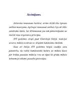 Referāts 'Estētika', 8.