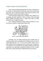 Referāts 'Rietumeiropa', 3.