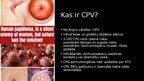 Prezentācija 'Cilvēka papilomas vīruss', 2.