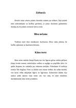 Konspekts 'Latviskas kāzu ieražas', 5.