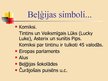 Prezentācija 'Beļģija', 20.