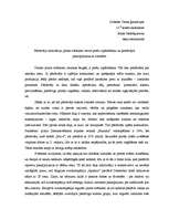 Eseja 'Pārdevēju motivācija, pirms svētkiem veicot preču izpārdošanu un piedāvājot paka', 1.