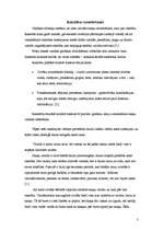 Referāts 'Valodas izcelšanās', 3.