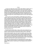 Prakses atskaite 'Pirmsskolas pedagoģiska prakse dienasgramata', 2.