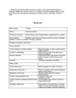 Prakses atskaite 'Pirmsskolas pedagoģiska prakse dienasgramata', 5.