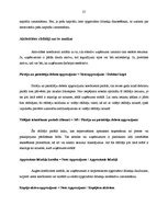 Diplomdarbs 'SIA "Koks" saimnieciskās darbības analīze un perspektīvas', 24.