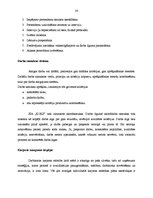 Diplomdarbs 'SIA "Koks" saimnieciskās darbības analīze un perspektīvas', 35.