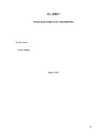 Biznesa plāns 'Biznesa blāns uzņēmumam X', 2.