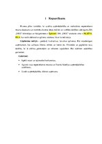 Biznesa plāns 'Biznesa blāns uzņēmumam X', 4.