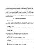 Biznesa plāns 'Biznesa blāns uzņēmumam X', 6.