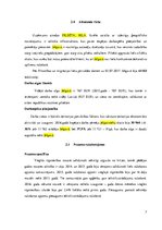 Biznesa plāns 'Biznesa blāns uzņēmumam X', 7.