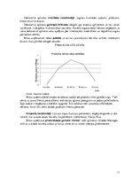 Biznesa plāns 'Biznesa blāns uzņēmumam X', 11.