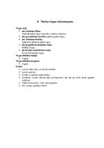 Biznesa plāns 'Biznesa blāns uzņēmumam X', 12.