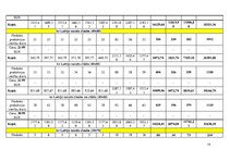 Biznesa plāns 'Biznesa blāns uzņēmumam X', 14.