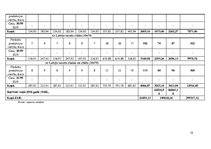 Biznesa plāns 'Biznesa blāns uzņēmumam X', 15.