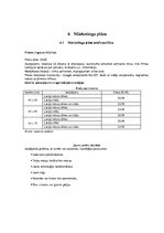 Biznesa plāns 'Biznesa blāns uzņēmumam X', 18.