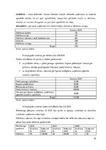 Biznesa plāns 'Biznesa blāns uzņēmumam X', 22.