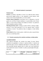 Biznesa plāns 'Biznesa blāns uzņēmumam X', 30.