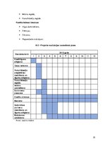 Biznesa plāns 'Biznesa blāns uzņēmumam X', 35.