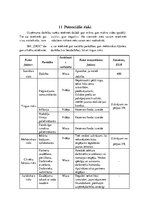 Biznesa plāns 'Biznesa blāns uzņēmumam X', 36.