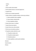 Referāts 'Etnogrāfiskie ansambļi un jauniešu folkloras kopas bijušā Balvu rajona teritorij', 2.