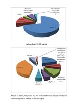 Referāts 'Etnogrāfiskie ansambļi un jauniešu folkloras kopas bijušā Balvu rajona teritorij', 10.