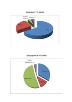 Referāts 'Etnogrāfiskie ansambļi un jauniešu folkloras kopas bijušā Balvu rajona teritorij', 15.