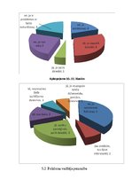 Referāts 'Etnogrāfiskie ansambļi un jauniešu folkloras kopas bijušā Balvu rajona teritorij', 19.