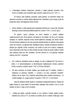 Referāts 'Divu reklāmu analīze un salīdzinājums', 4.