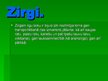 Prezentācija 'Zirgi', 2.