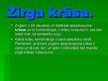 Prezentācija 'Zirgi', 3.