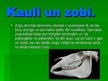 Prezentācija 'Zirgi', 8.