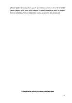 Referāts 'Krievija un demokrātija', 4.