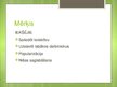 Prezentācija 'Saliedēšanas pasākums. Ziemassvētku balle "Karaliskais jampadracis"', 3.