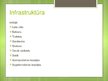 Prezentācija 'Saliedēšanas pasākums. Ziemassvētku balle "Karaliskais jampadracis"', 9.
