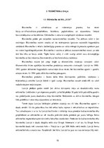 Diplomdarbs 'Darba aizsardzība būvniecībā', 3.