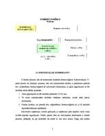 Referāts 'Komersants kā komerctiesību subjekts', 5.