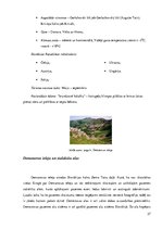 Referāts 'Ceļojuma maršruta izstrāde Latvija-Slovākija-Ungārija-Horvātija', 37.