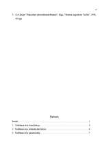 Referāts 'Vadības stili', 17.