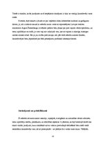 Referāts 'Zvērinātu tiesu izpildītāju pienākumi, tiesības un atbildība', 16.