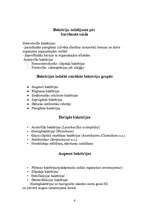 Referāts 'Baktērijas', 6.