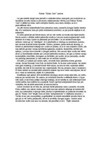 Eseja 'Filmas "Kolka Cool" analīze', 1.